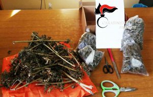 Scappa dai Carabinieri con quattro sacchetti di marijuana dentro una scatola da scarpe: arrestato