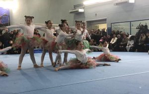 Gli studenti del Liceo Sportivo “Fermi-Monticelli” a “Scuola di  ginnastica”