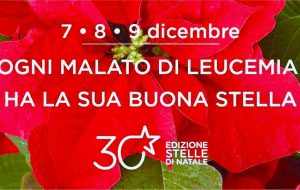 Tornano le stelle di Natale AIL. Quest’anno la novità sono i “Quadrotti di Puglia”