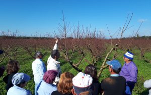 InPuglia organizza corso per Manutentore del Verde