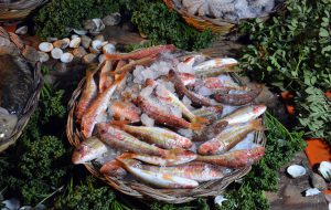 Fasano Fish Festival – Il cibo del mare: grande successo nella serata d’apertura al Laboratorio urbano