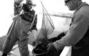 Domenica 23 la tradizionale pesca sostenibile di Fiume Morelli