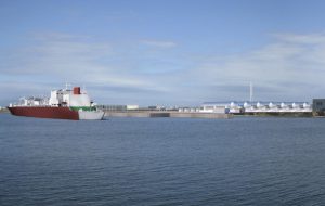 Stazione rifornimento Gas per navi: l’opinione del Forum Ambiente