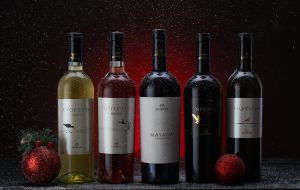 Domani Tenute Lu Spada presenta la nuova linea dei vini ed i progetti per il 2019