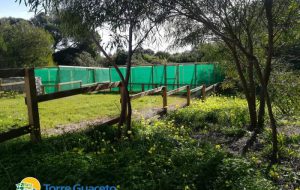A Torre Guaceto il nuovo centro recupero per la fauna selvatica
