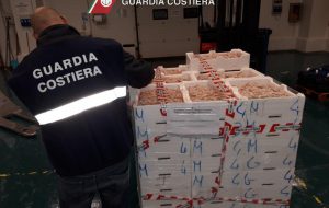 Confine illegale: la Guardia Costiera sequestra 550 Kg di gambero rosa