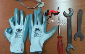 Due topi d’appartamento fuggono sul tetto dopo essere stati scoperti dal proprietario: bloccati ed arrestati