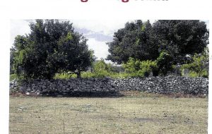 Emilio Chirilli presenta a Brindisi il libro “La figlia Legittima”