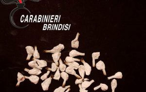Trova una busta piena di cocaina nel tronco di un albero e la consegna ai Carabinieri