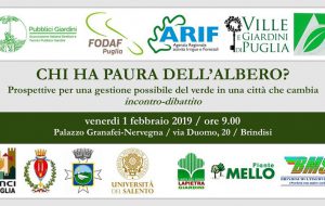Chi ha paura dell’albero?: venerdì 1 a Brindisi dibattito sulle prospettive di gestione del verde pubblico