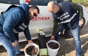 La Guardia Costiera sequestra più di un quintale di “cetrioli di mare”