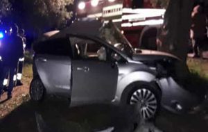 Auto contro ulivo: perde la vita a soli 19 anni
