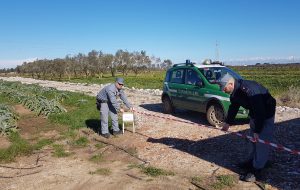 Brindisi, Strada abusiva con rifiuti: sequestro e denuncia dei Carabinieri forestali