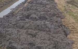 Adoc chiede lumi sulle operazioni di bonifica del canale a ridosso del quartiere La Rosa
