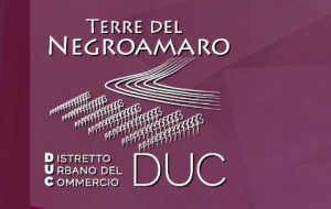 DUC Terre del Negroamaro, valorizzazione dei percorsi culturali e turistici. Giovedì convegni a Cellino e San Donaci