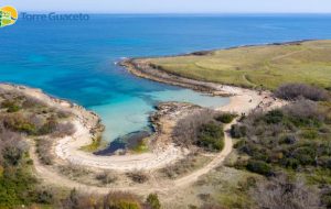 Archeologi alla scoperta della Torre Guaceto antica