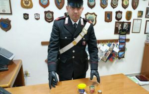 Cane antidroga scova 30 grammi di cocaina nell’armadio della camera da letto: arrestata 48enne