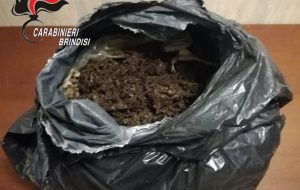 8 kg di marijuana nel sacchetto della spazzatura