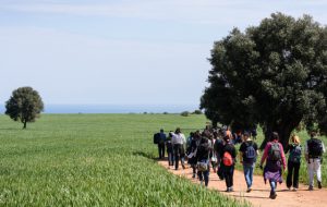 Gal Alto Salento 2020: Ciclo di incontri sulla “Cura e tutela del paesaggio rurale e costiero per il sostegno di un turismo lento e consapevole”