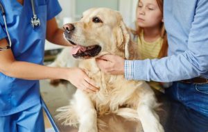 Qua la Zampa!: a S. Michele parte attività di eduzione sui rapporti uomo-animali