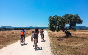 In bici sulla Via Traiana: dal Parco Dune Costiere ad Egnazia