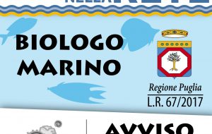 Il GAL Terra dei Messapi cerca un biologo marino