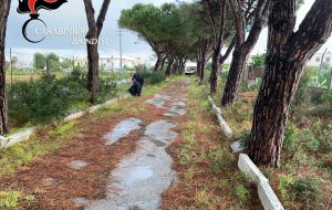 In un terreno di Savelletri i Carabinieri trovano1,3 Kg di esplosivo e 1,1 Kg di hashish