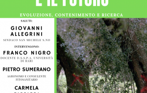 La Xylella e il futuro – evoluzione, contenimento e ricerca: se ne parla giovedì 2 a San Michele Salentino