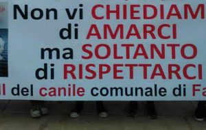 Lavori al canile di Fasano: dove andranno i cani che al momento sono all’interno della struttura?