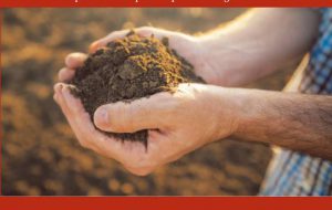 FORI: dal 15 aprile formazione per gestire i terreni agricoli confiscati alla mafia