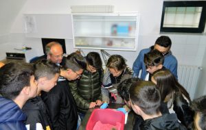1° Open day nel “Centro Fauna Selvatica” della Provincia di Brindisi
