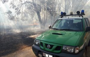 Entro fine mese vanno eseguite le azioni di prevenzione antincendio boschivo. Carabinieri Forestali già al lavoro
