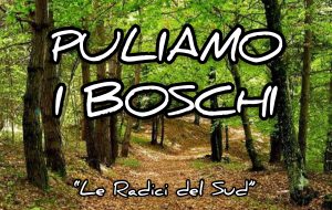 Michele Conenna e le “Radici del Sud” lanciano “Puliamo i Boschi”, l’iniziativa di volontariato per una città più pulita.