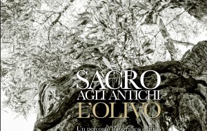 Maggio dei libri: lunedì 20 Angela Brucoli alla Biblioteca Comunale di Ostuni