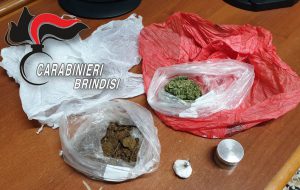 Il cane One fiuta droga: nei guai 30enne di Latiano