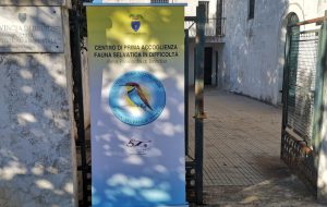 Venerdì 28 il 1° Family day al centro fauna selvatica della Provincia di Brindisi