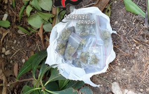 Spacciatori beccati dai Carabinieri a Francavilla e San Michele: vani i tentativi di disfarsi della droga