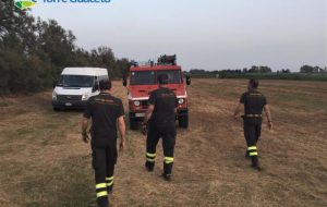 Incendio a Torre Guaceto: fuoco nelle spiagge della zona A