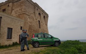 Incendio a Torre Guaceto: indagano i Carabinieri Forestali