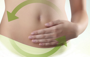 Ancora sulla digestione. Di Rocco Palmisano