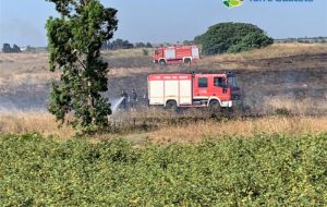 Legambiente su incendio nella Riserva naturale di Torre Guaceto