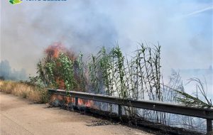 Incendio a Torre Guaceto: distrutta metà Macchia San Giovanni