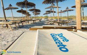 Al via i servizi estivi: aprono lido e parcheggio di Torre Guaceto