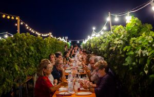 La città, il territorio, il vino: un ritorno al passato rivolto al futuro