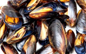 Sabato 27 a San Donaci la prima sagra delle cozze nere