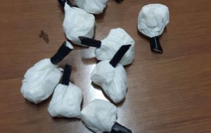 Spaccio di droga: arrestata 31enne di Brindisi