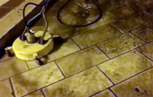 Ordinanza per il lavaggio di marciapiedi e basolato su corso Roma