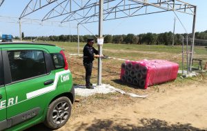 Allestiscono aviosuperfice senza permessi edilizi: intervengono i Carabinieri Forestali