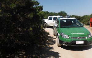 Bivacchi nella notte di San Lorenzo: intervengono i Carabinieri Forestali