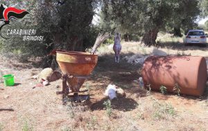 Beccati mentre macellano clandestinamente agnelli e pecore: denunciate 12 persone